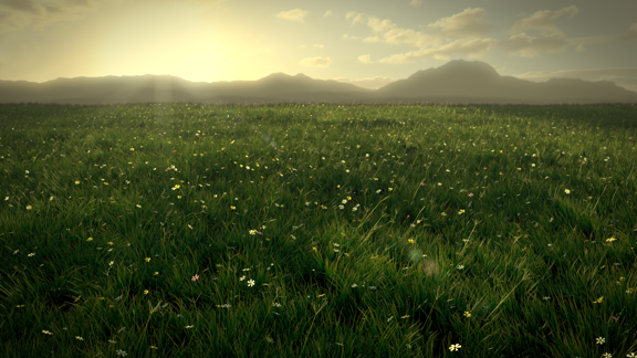 Grass