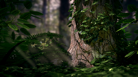 Plants