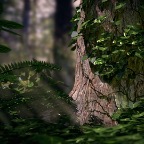 render