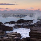 IMG_1429