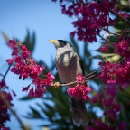IMG_3593
