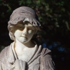 IMG_3375