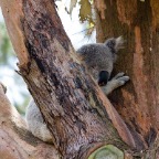 IMG_0886